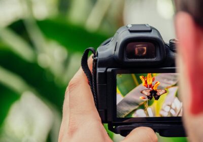 5 Strategi Efektif untuk Mengembangkan Karier Fotografi